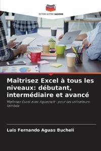 Maîtrisez Excel à tous les niveaux