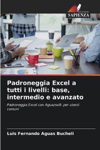 Padroneggia Excel a tutti i livelli