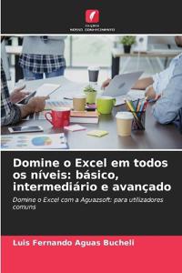 Domine o Excel em todos os níveis: básico, intermediário e avançado