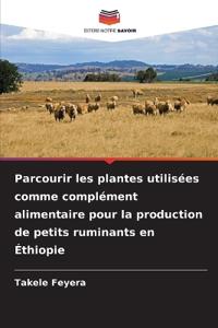 Parcourir les plantes utilisées comme complément alimentaire pour la production de petits ruminants en Éthiopie