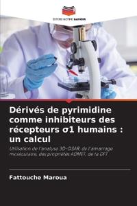 Dérivés de pyrimidine comme inhibiteurs des récepteurs s1 humains