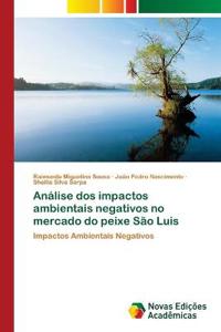 Análise dos impactos ambientais negativos no mercado do peixe São Luis
