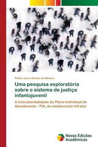 Uma pesquisa exploratória sobre o sistema de justiça infantojuvenil