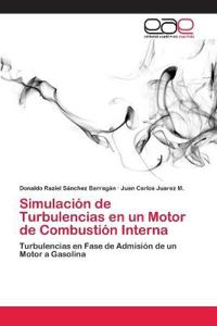Simulación de Turbulencias en un Motor de Combustión Interna