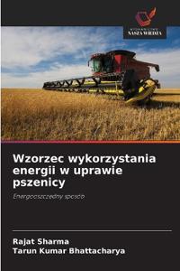 Wzorzec wykorzystania energii w uprawie pszenicy