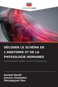 Décoder Le Schéma de l'Anatomie Et de la Physiologie Humaines