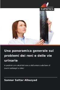 Una panoramica generale sui problemi dei reni e delle vie urinarie