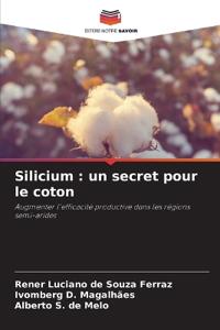 Silicium