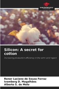 Silicon