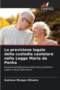 La previsione legale della custodia cautelare nella Legge Maria da Penha