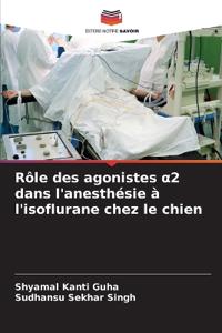 Rôle des agonistes a2 dans l'anesthésie à l'isoflurane chez le chien