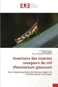 Inventaire des insectes ravageurs du mil (Pennisetum glaucum)