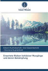 Erwartete Risiken kohäsiver Murgänge und deren Bekämpfung