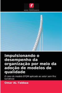 Impulsionando o desempenho da organização por meio da adoção de modelos de qualidade