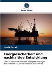 Energiesicherheit und nachhaltige Entwicklung