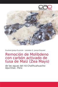 Remoción de Molibdeno con carbón activado de tusa de Maíz (Zea Mays)