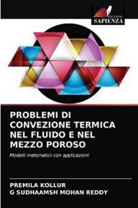 Problemi Di Convezione Termica Nel Fluido E Nel Mezzo Poroso