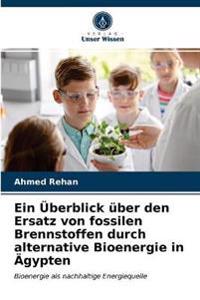 Ein Überblick über den Ersatz von fossilen Brennstoffen durch alternative Bioenergie in Ägypten