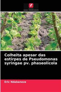 Colheita apesar das estirpes de Pseudomonas syringae pv. phaseolicola