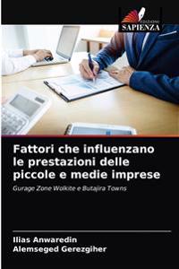 Fattori che influenzano le prestazioni delle piccole e medie imprese