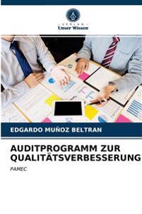 Auditprogramm Zur Qualitätsverbesserung