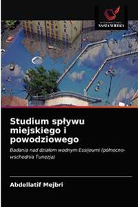 Studium splywu miejskiego i powodziowego