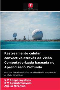 Rastreamento celular convectivo através da Visão Computadorizada baseada no Aprendizado Profundo