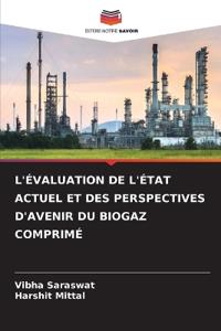 L'Évaluation de l'État Actuel Et Des Perspectives d'Avenir Du Biogaz Comprimé