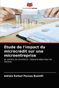 Étude de l'impact du microcrédit sur une microentreprise