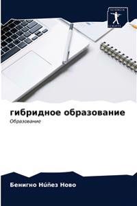 гибридное образование