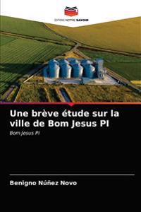 Une brève étude sur la ville de Bom Jesus PI