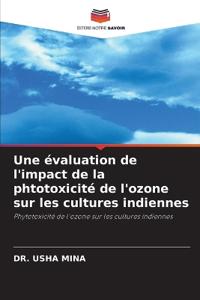 Une évaluation de l'impact de la phtotoxicité de l'ozone sur les cultures indiennes