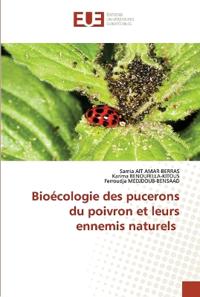 Bioécologie des pucerons du poivron et leurs ennemis naturels