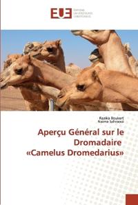 Aperçu Général sur le Dromadaire Camelus Dromedarius