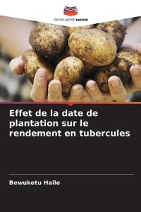 Effet de la date de plantation sur le rendement en tubercules