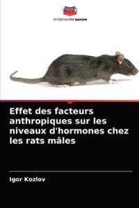 Effet des facteurs anthropiques sur les niveaux d'hormones chez les rats mâles