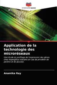 Application de la technologie des microréseaux