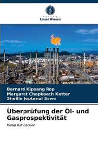 Überprüfung der Öl- und Gasprospektivität