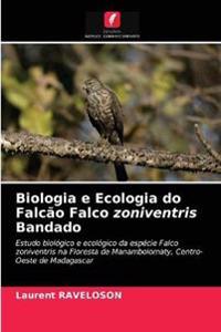 Biologia e Ecologia do Falcão Falco zoniventris Bandado