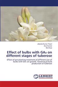 Effect of bulbs with GA3 on different stages of tuberose