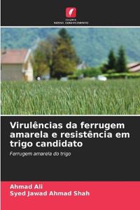 Virulências da ferrugem amarela e resistência em trigo candidato