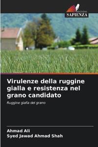 Virulenze della ruggine gialla e resistenza nel grano candidato