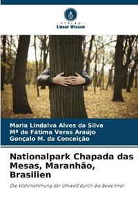 Nationalpark Chapada das Mesas, Maranhão, Brasilien