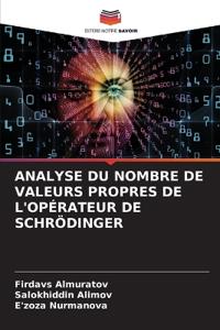 Analyse Du Nombre de Valeurs Propres de l'Opérateur de Schrödinger