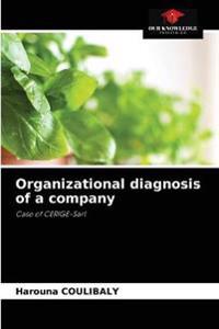 Organizational diagnosis of a company