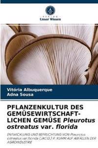 PFLANZENKULTUR DES GEMÜSEWIRTSCHAFT- LICHEN GEMÜSE Pleurotus ostreatus var. florida