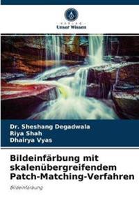 Bildeinfärbung mit skalenübergreifendem Patch-Matching-Verfahren