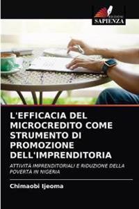 L'Efficacia del Microcredito Come Strumento Di Promozione Dell'imprenditoria