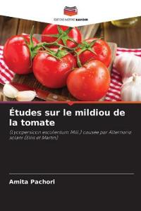 Études sur le mildiou de la tomate