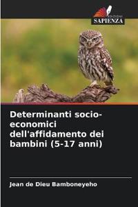 Determinanti socio-economici dell'affidamento dei bambini (5-17 anni)
